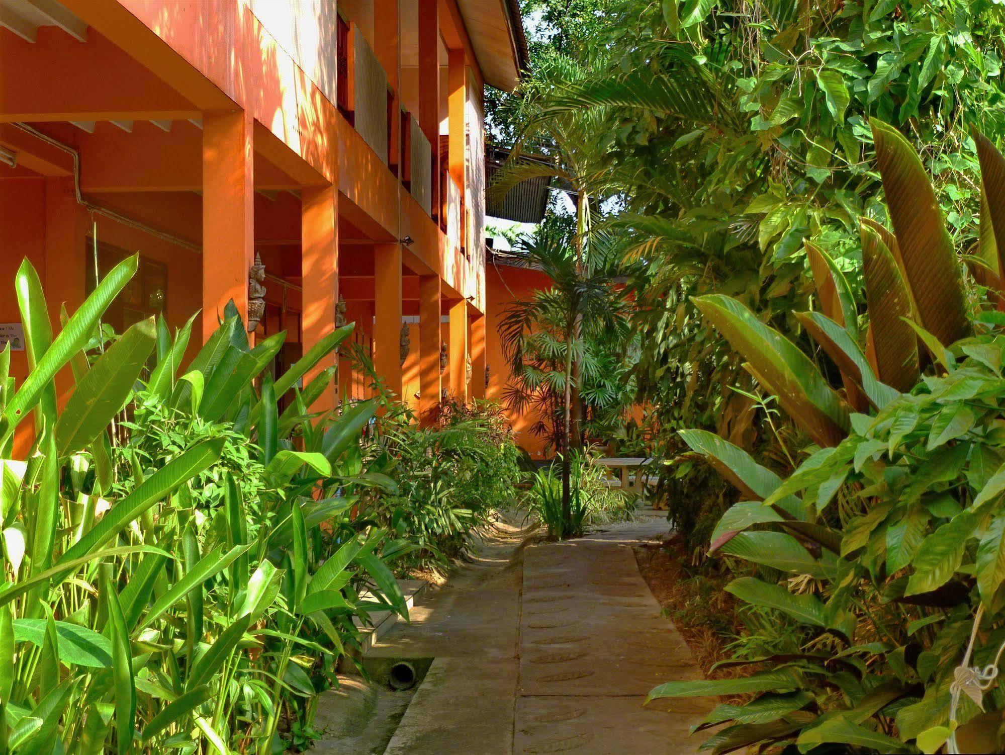 Hollanda Montri Guesthouse Chiang Mai Bagian luar foto